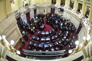 Red de Mujeres exigen a senadores por Misiones, que voten en contra de la ley que libera la venta de tierras a extranjeros