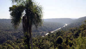 Misiones: Passalacqua instruyó al fiscal de Estado a realizar acciones judiciales para resguardar el territorio provincial tras fallo de la Corte Suprema que habilita venta de tierras a extranjeros