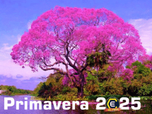 Ce Multimedios comparte la programación «PRIMAVERA 2025» de Radio Ce