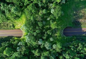 NOTA de Opinión – “Misionerismo Neo”: una invitación a ordenar el futuro