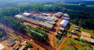 Misiones – Crisis en la Cooperativa Yerbatera Andresito: suspensión de pagos bajo un presidente libertario defensor de la desregulación