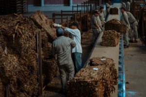 Misiones: Passalacqua anunció el acuerdo sobre el precio del tabaco y ponderó el diálogo como eje para sostener la producción