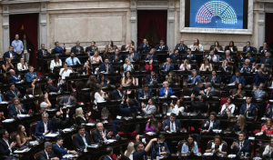 La Cámara de Diputados aprobó la baja en la edad de imputabilidad a 14 años