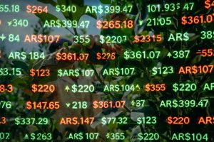 Misiones propone crear una pizarra de referencia para sostener el precio de la hoja verde de yerba mate