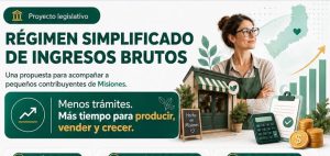Misiones: Diputados de “Encuentro Misionero” presentaron proyecto que elimina pago anticipado de Ingresos Brutos para pequeños contribuyentes