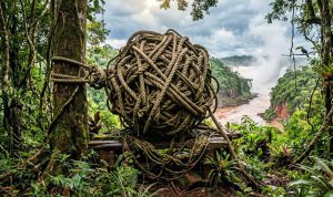 Nota de Opinión: «NUDO GORDIANO», metáfora que explica el inicio de un nuevo tiempo político