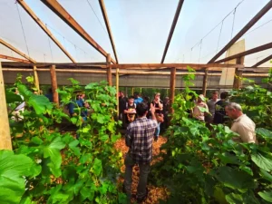 Misiones: Cultivo de melón y sandía contra estación con el fin de mejor rentabilidad