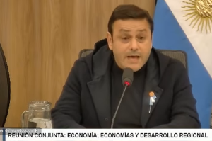 “Misiones pierde hasta tres RIGI por año con la desregulación”: duro discurso de Herrera Ahuad por la yerba mate