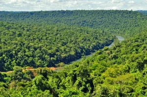 Misiones: Avanza el proyecto ambiental que fortalece el Corredor Verde y la producción sostenible en la Provincia