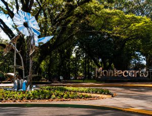 Misiones: Gabinete provincial abre este miércoles en Montecarlo una agenda de trabajo territorial con intendentes