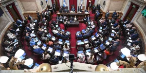 Se levantó sesión en el Senado y el debate de la Ley de Propiedad Privada, quedó postergado