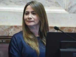 Misiones: La senadora nacional Rojas Decut conformó un monobloque
