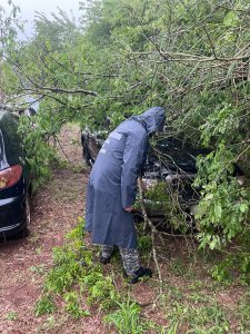 Misiones: Voladuras de techos, caída de árboles y postes de alumbrado, producto del frente tormentoso